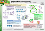 proteinstruktur